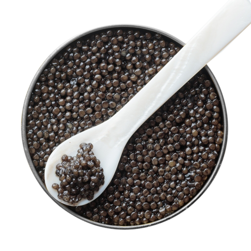 10+ Year Acipenser Schrenckii x Huso Dauricus Caviar
